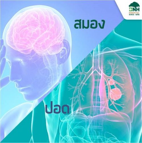 Brain, Lung Examination Package - Image 2