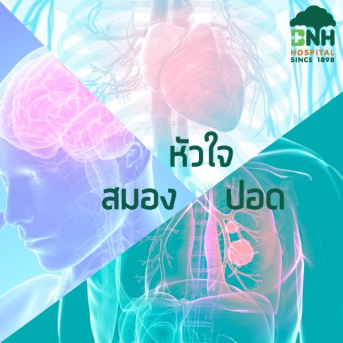 Coronary Artery Disease, Stroke, Lung Cancer Screening package - Image 7