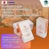 PLASMALOGEN BNH พลาสมาโลเจน