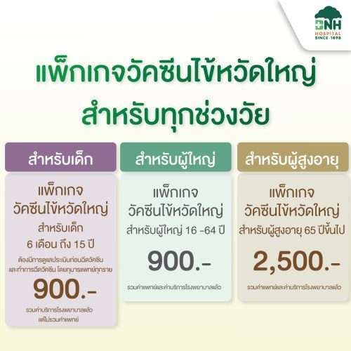 Influenza Vaccines - Image 5